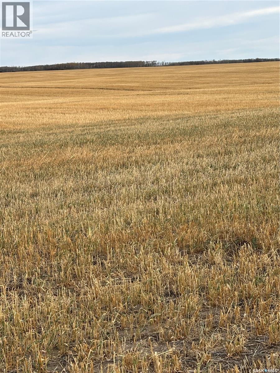 K & K Cattle Co. Ltd., Maple Creek Rm No. 111, SK