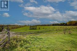 Hay and pasture, fenced -