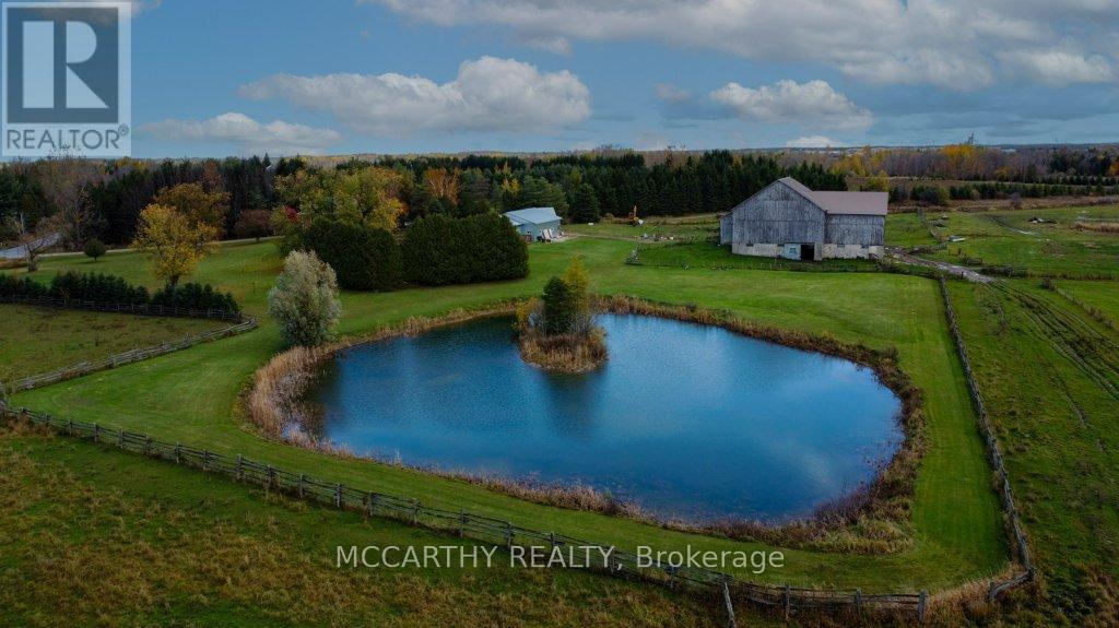 Manmade pond - 713630 Durham Road B, Grey Highlands, ON