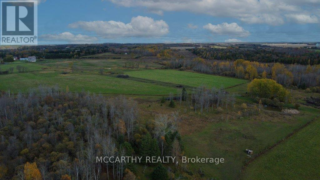 Some trees and cleared land - 713630 Durham Road B, Grey Highlands, ON