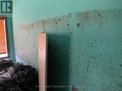 What appears to be mould in the workshop office? -