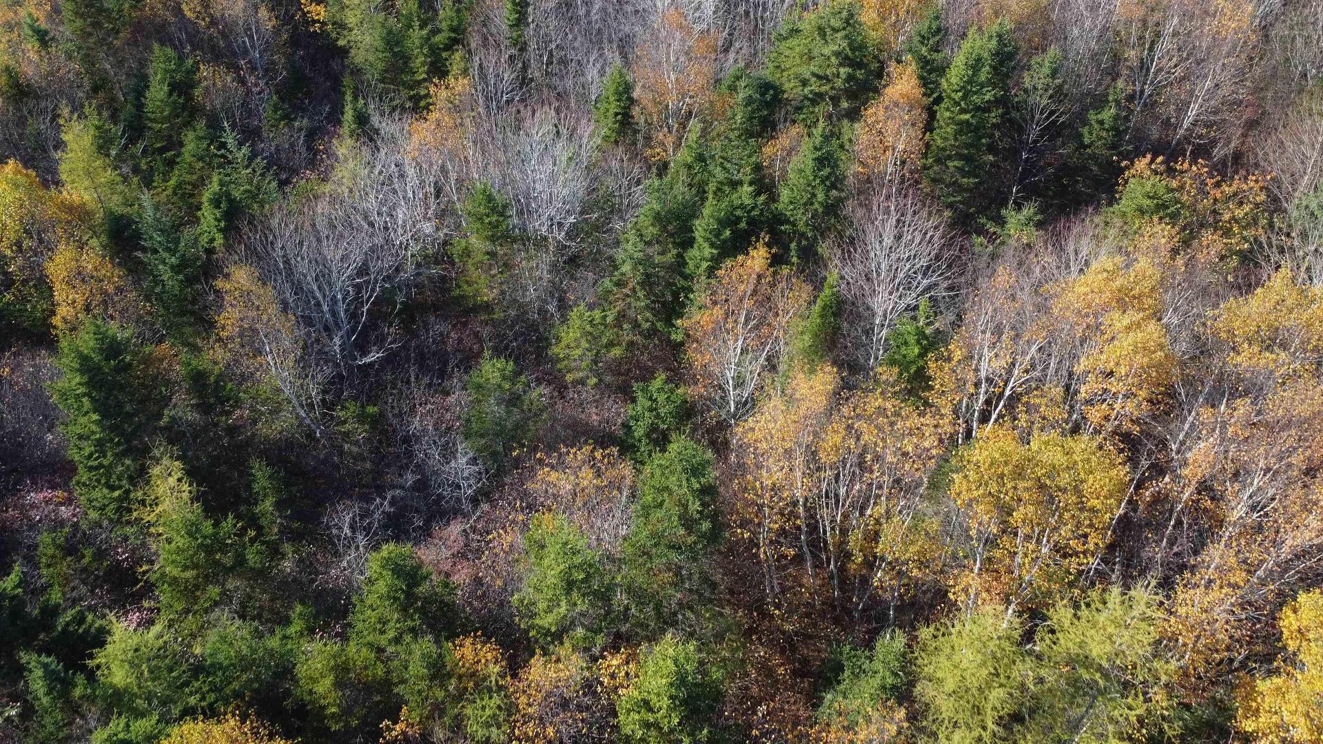 0 Beaver River Road, Cedar Lake, NS