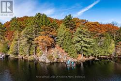 1 - 1060 SKELETON LAKE 3 ROAD Muskoka Lakes (Watt), ON P0B 1M0