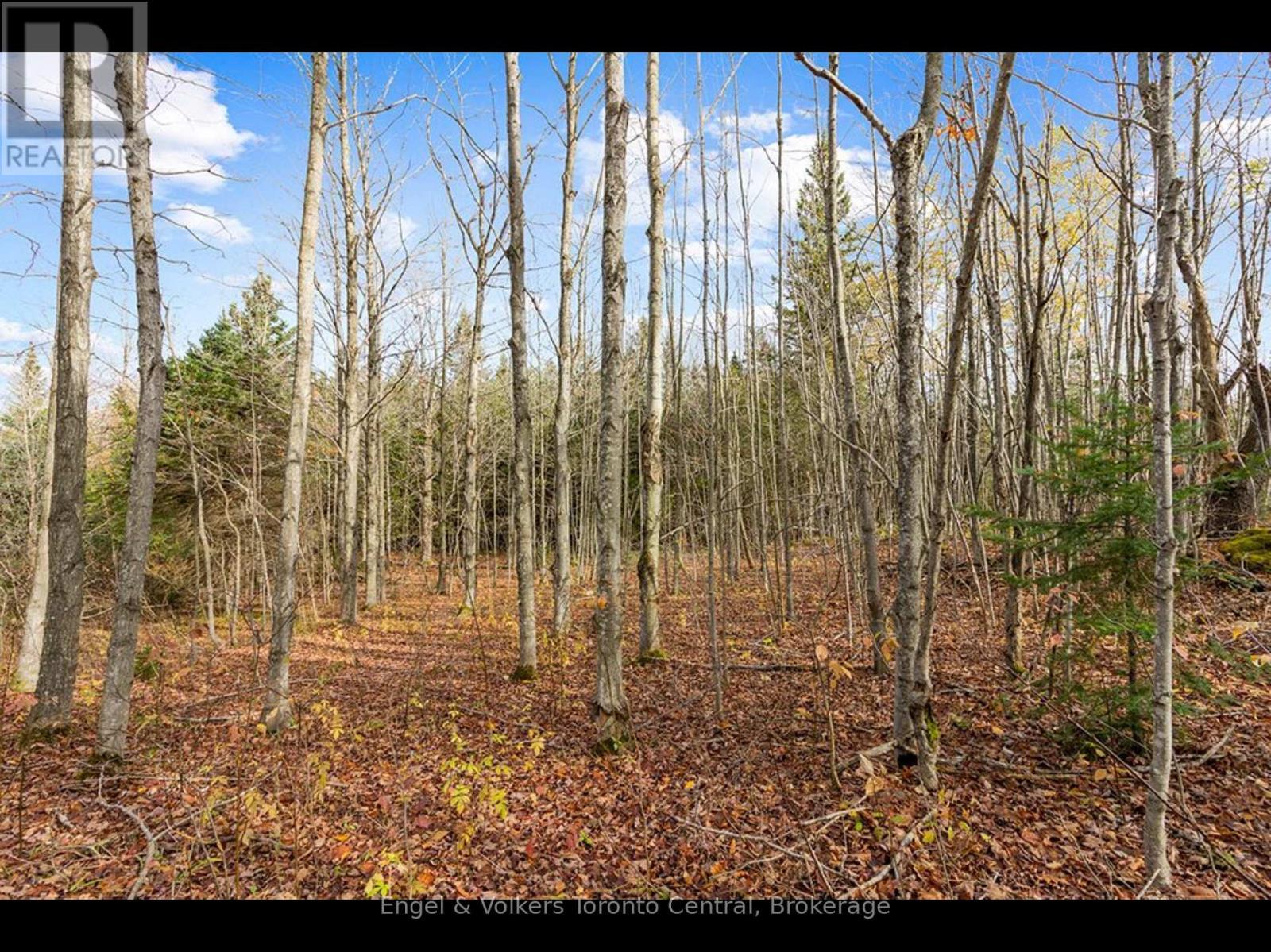 429560 8Th B Concession, Grey Highlands, ON