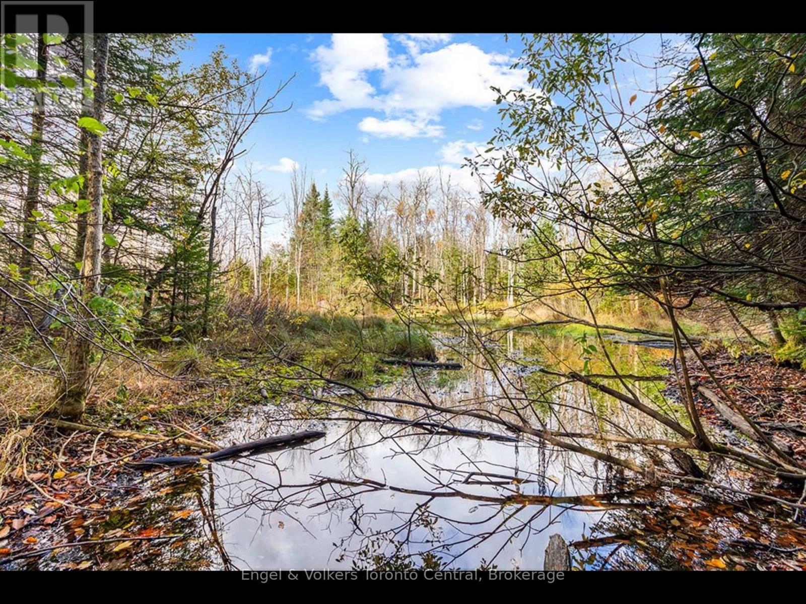 429560 8Th B Concession, Grey Highlands, ON