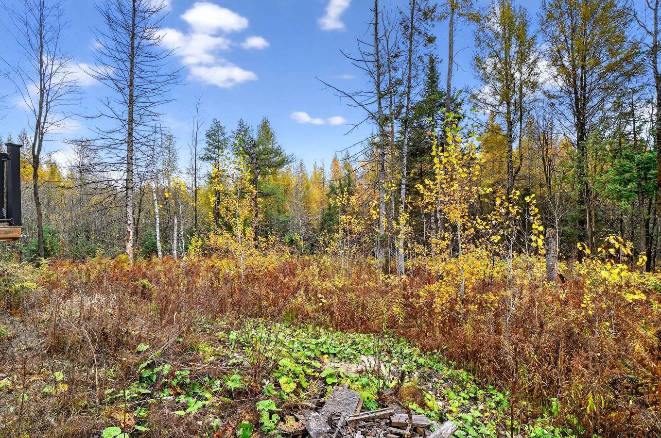 Backyard - 1855 Ch. Morrisson, Saint-Lin/Laurentides, QC - Outdoor With View