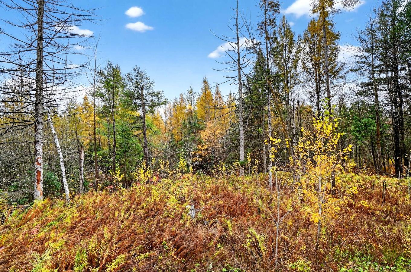 Backyard - 1855 Ch. Morrisson, Saint-Lin/Laurentides, QC - Outdoor With View