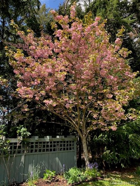 178 Elizabeth Dr, Salt Spring, BC