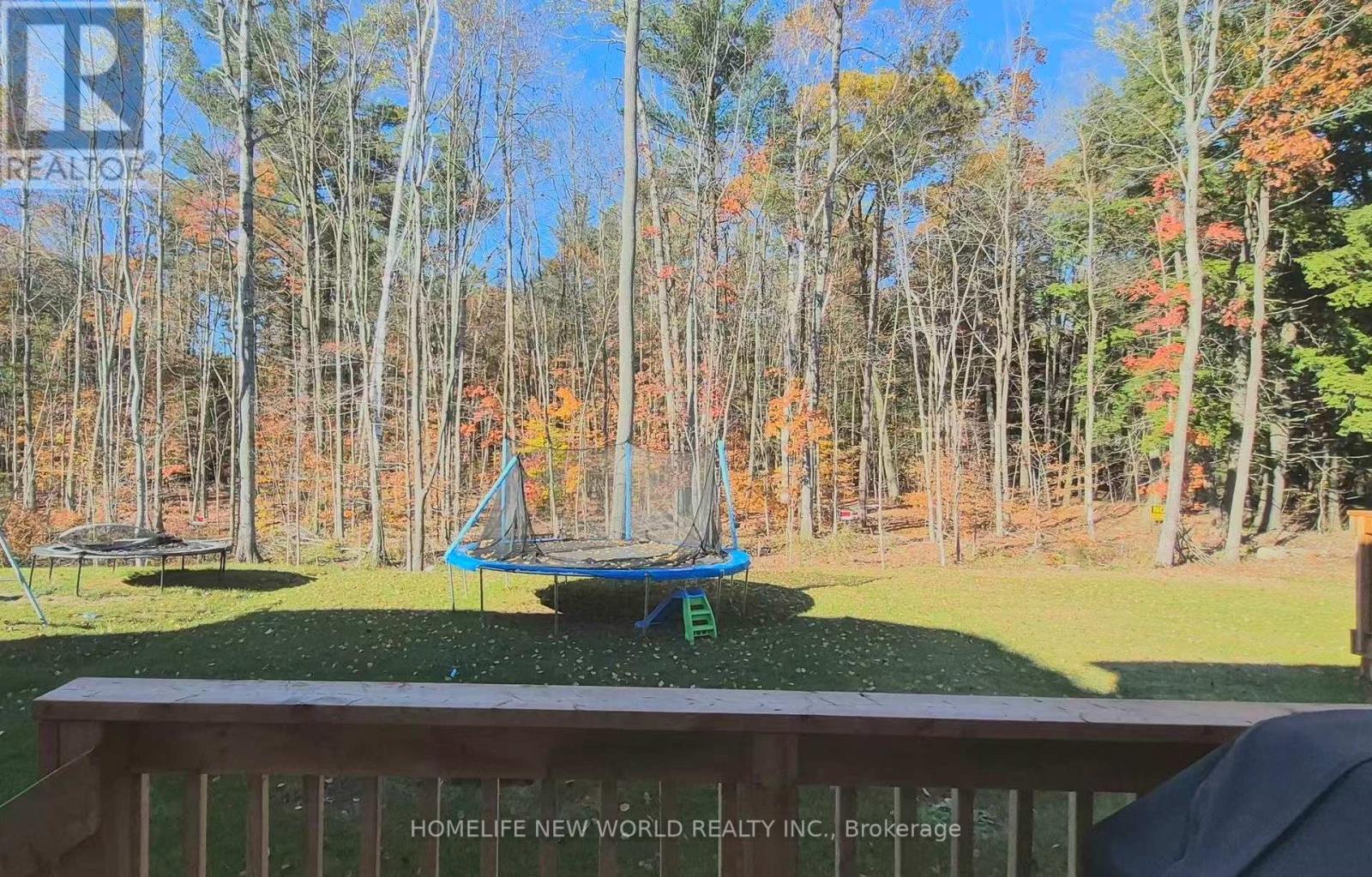 425 Beechwood Forest Lane, Gravenhurst, ON - Outdoor