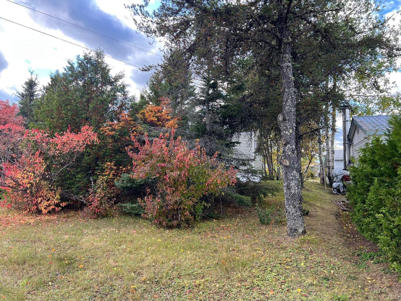 Backyard - 187 9E Avenue, Chapais, QC - Outdoor