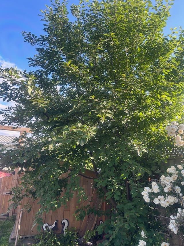 373 Arundel Street, Thunder Bay, ON - Outdoor