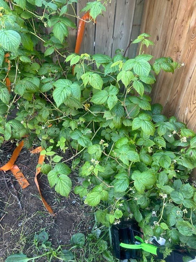 373 Arundel Street, Thunder Bay, ON - Outdoor