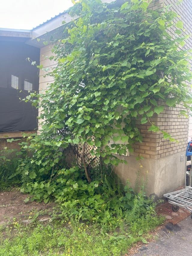 373 Arundel Street, Thunder Bay, ON - Outdoor