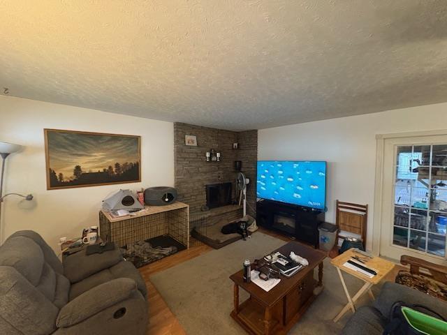 373 Arundel Street, Thunder Bay, ON - Indoor Photo Showing Living Room With Fireplace