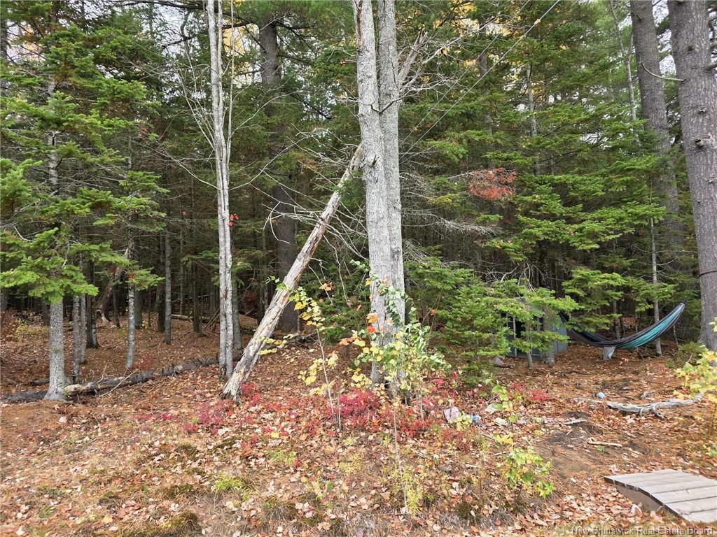 127 Senese St, Moncton, NB