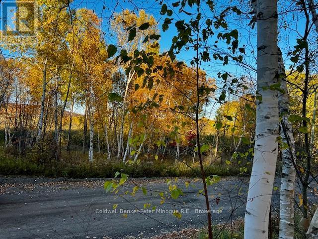 Lot 16 Seymour Street, North Bay (Birchaven), ON