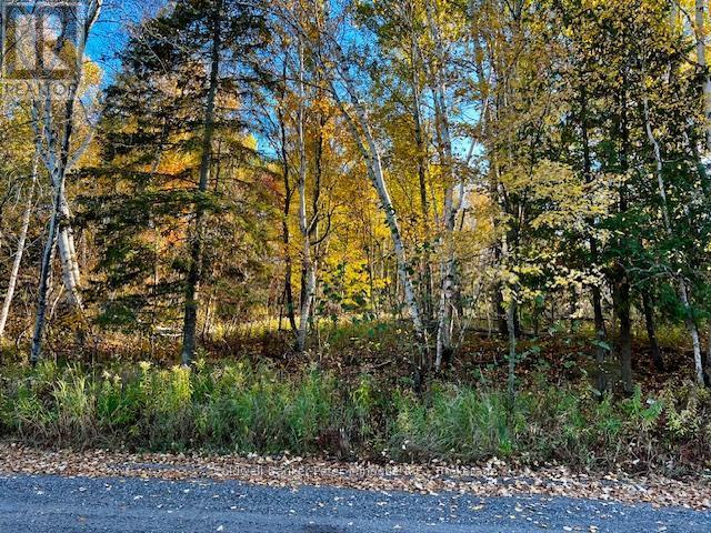 Lot 16 Seymour Street, North Bay (Birchaven), ON