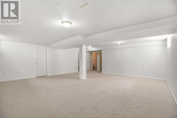 Lower level family room -