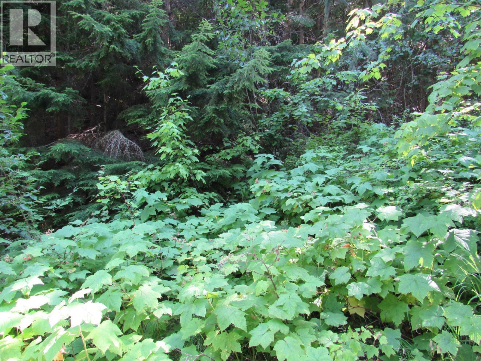 1365 Forest Road, Castlegar, BC