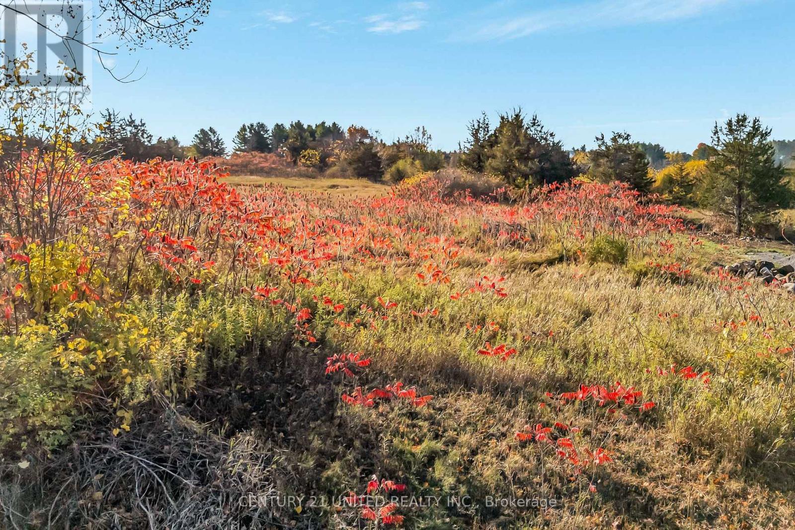 226 Prinyers Cove Crescent, Prince Edward County (North Marysburg Ward), ON