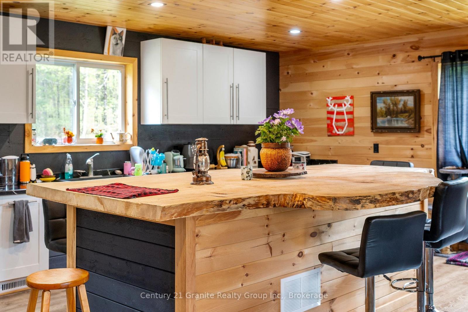 10498 Highway 118, Algonquin Highlands (Stanhope), ON - Indoor