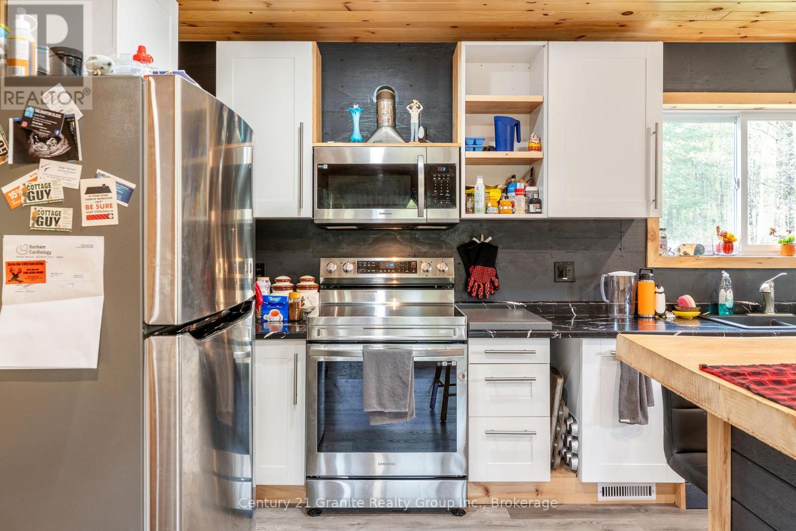 10498 Highway 118, Algonquin Highlands (Stanhope), ON - Indoor Photo Showing Kitchen