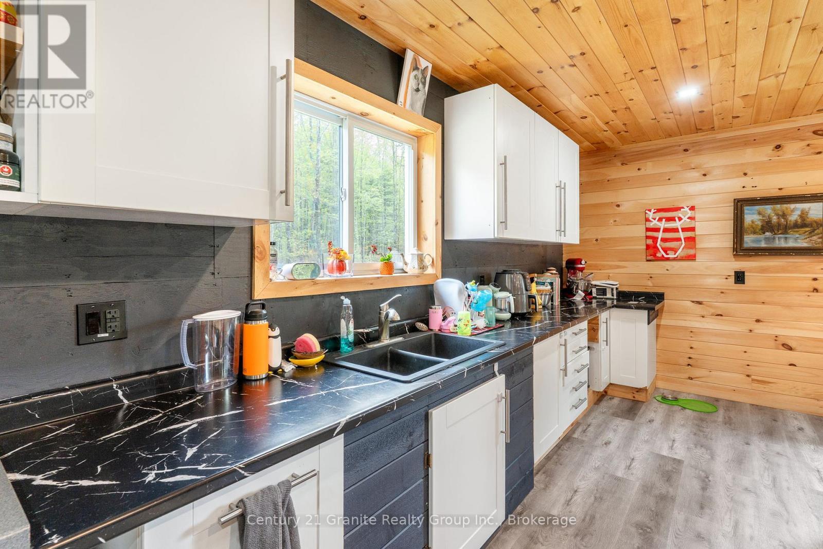 10498 Highway 118, Algonquin Highlands (Stanhope), ON - Indoor Photo Showing Kitchen With Double Sink