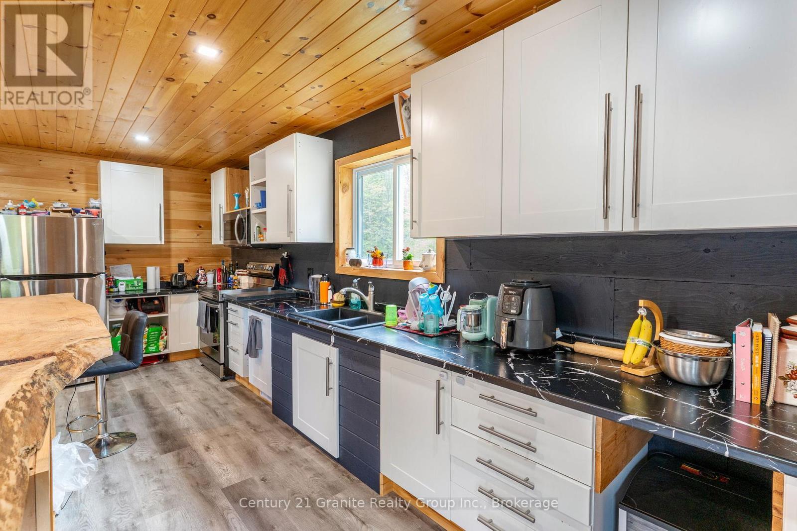 10498 Highway 118, Algonquin Highlands (Stanhope), ON - Indoor Photo Showing Kitchen With Double Sink