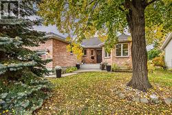 Mature trees and hedges give the lot privacy -