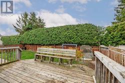 Hedges give great privacy! -