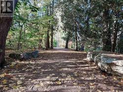 Stunning & peaceful wooded trails... -