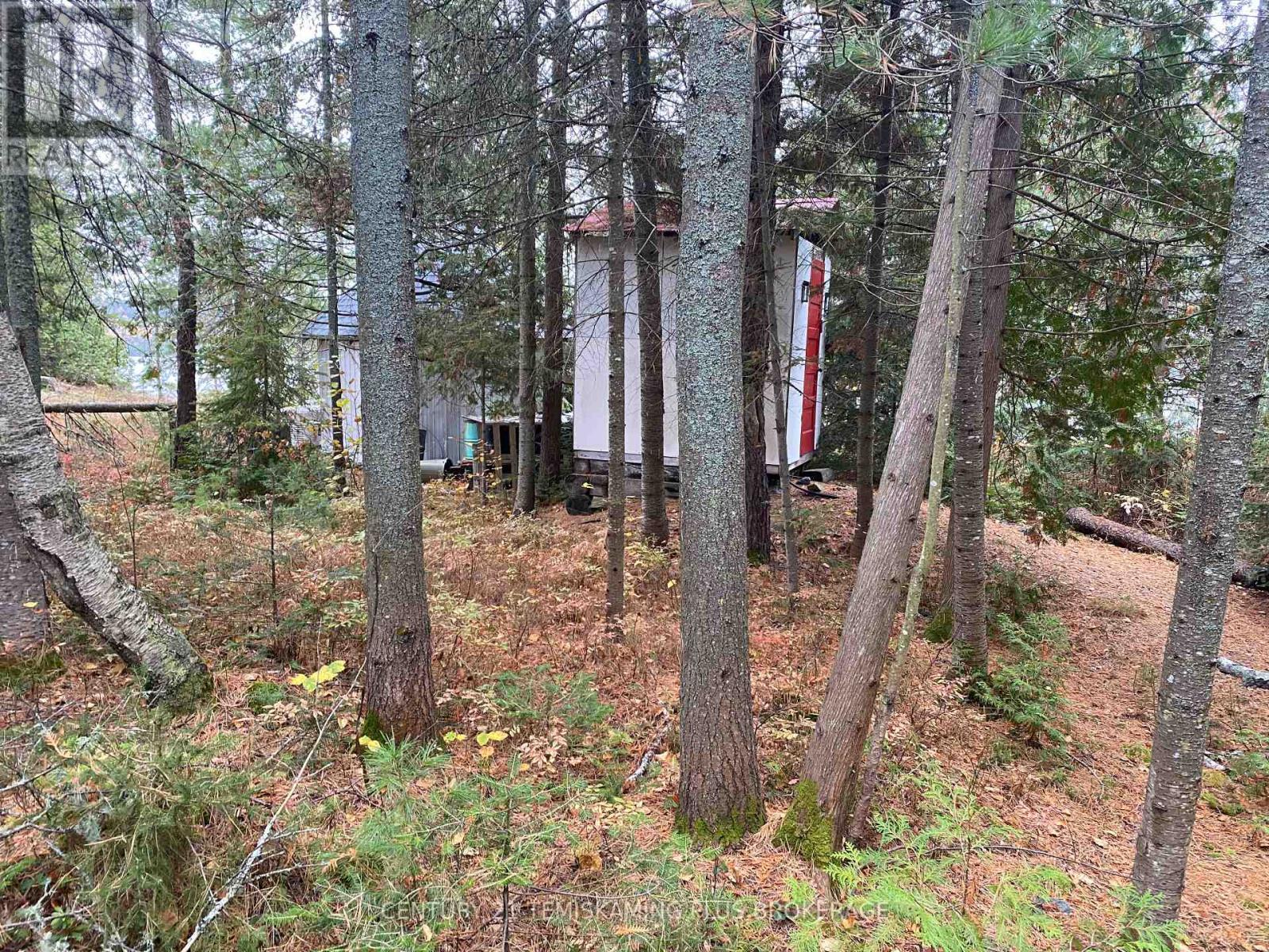 1 Weekes Island, Englehart (Central Timiskaming), ON - Outdoor