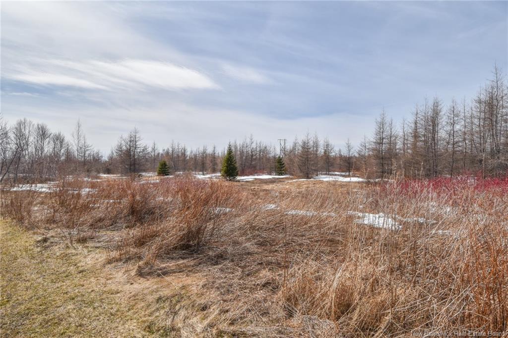 1207 Route 113, Inkerman Ferry, NB