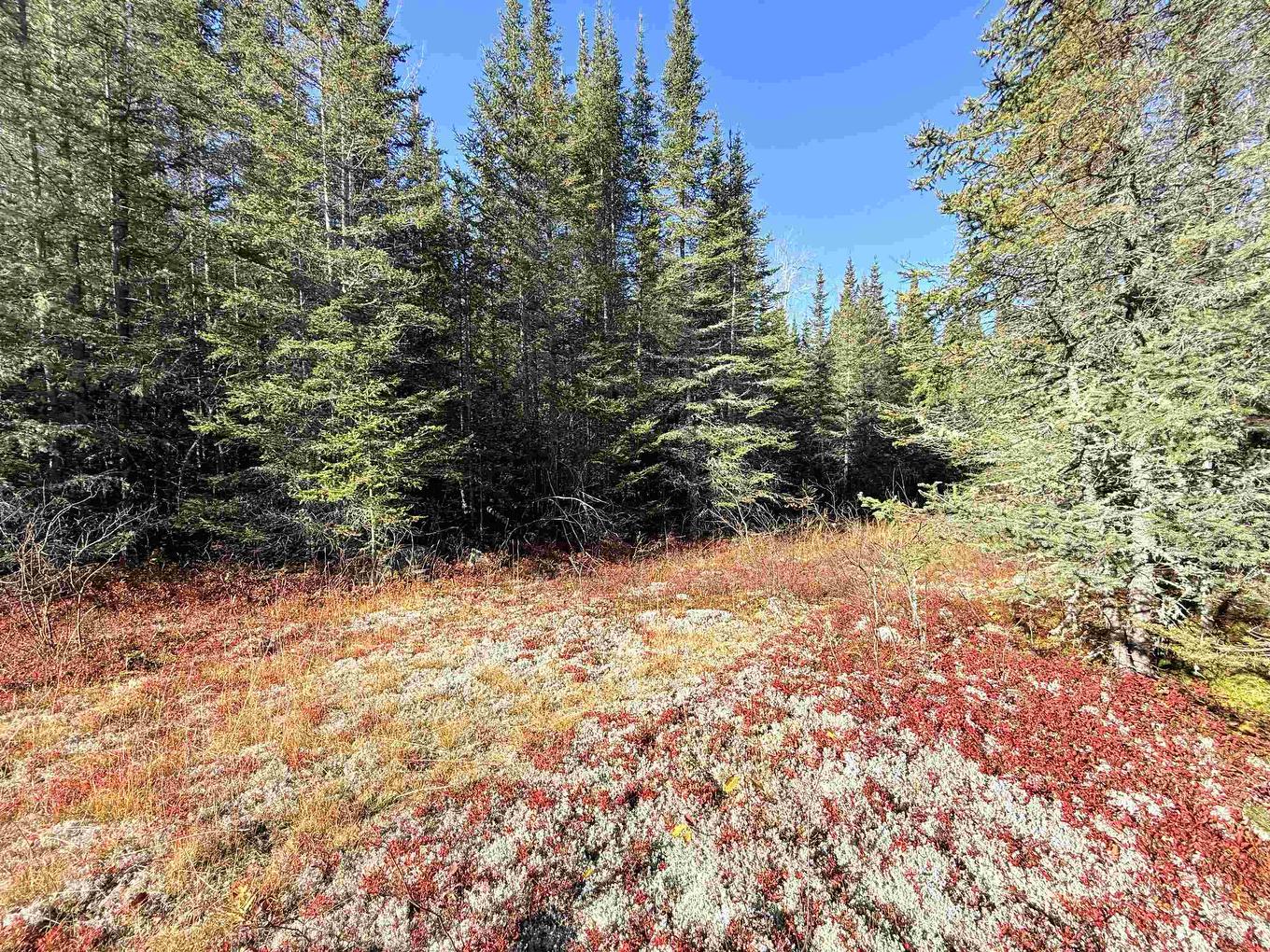 Road No 5, Shuniah, ON