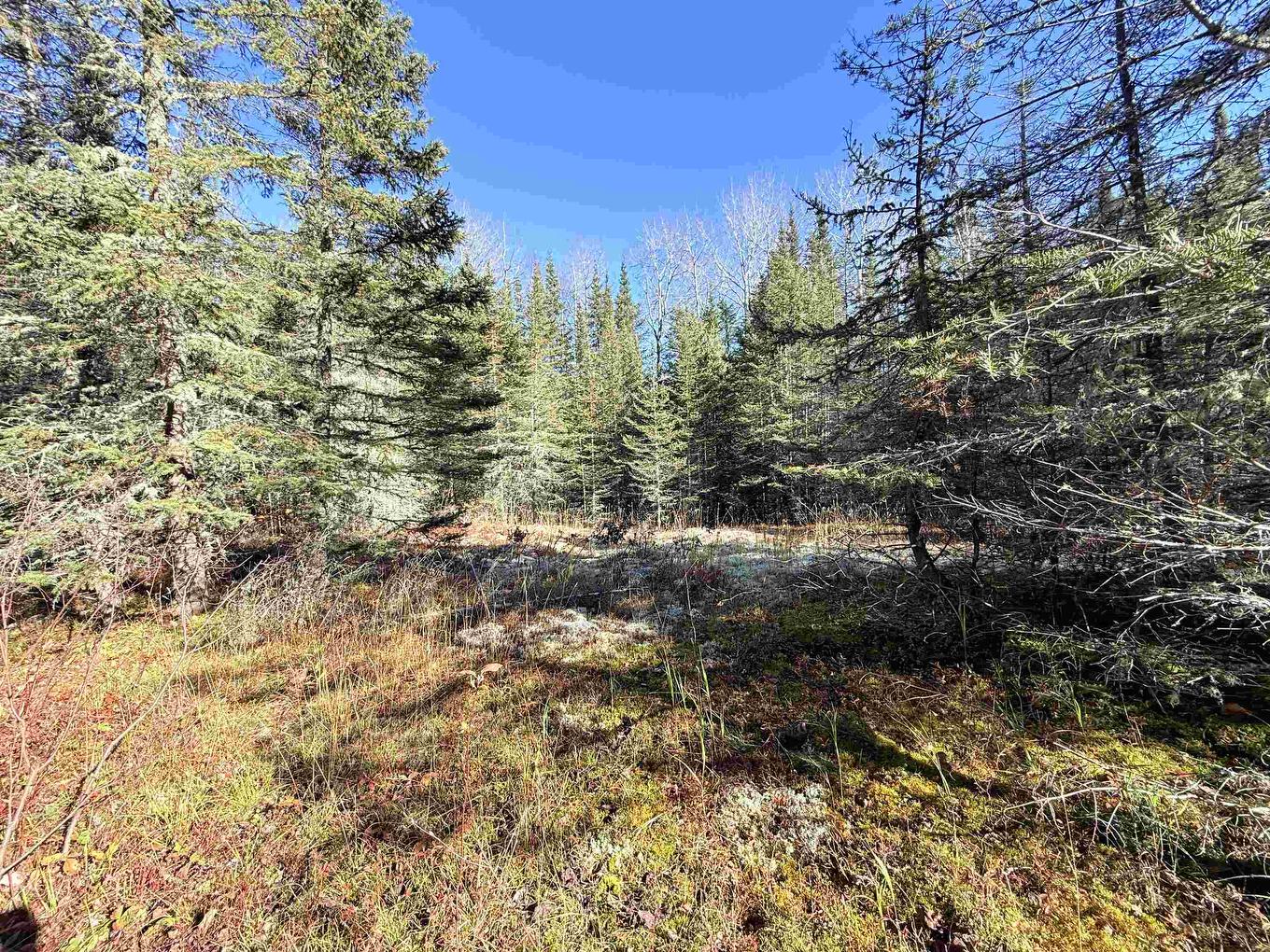 Road No 5, Shuniah, ON