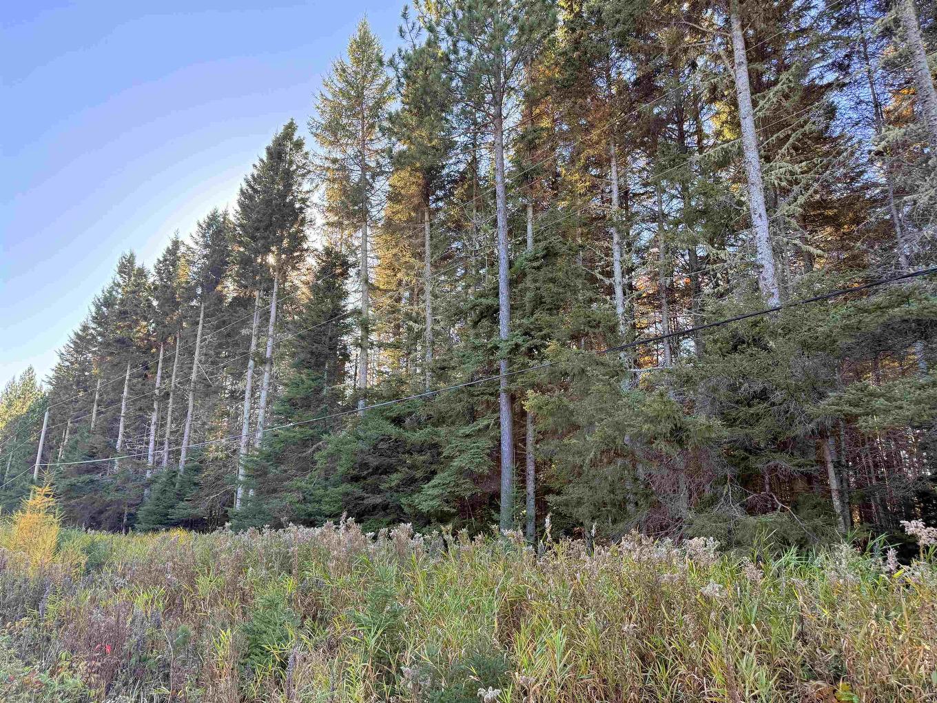 Road No 5, Shuniah, ON