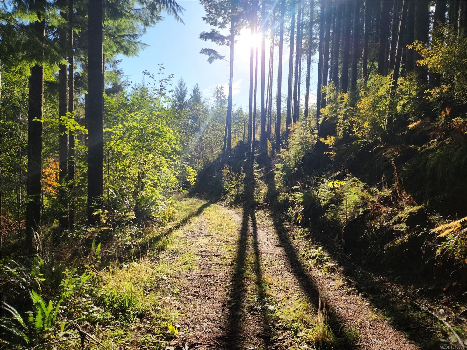 50 Murrelet Close, Sooke, BC