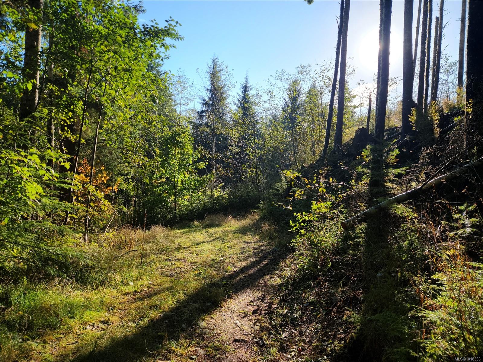 50 Murrelet Close, Sooke, BC