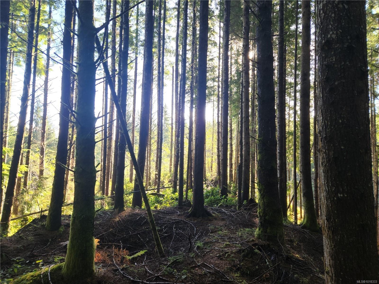 50 Murrelet Close, Sooke, BC