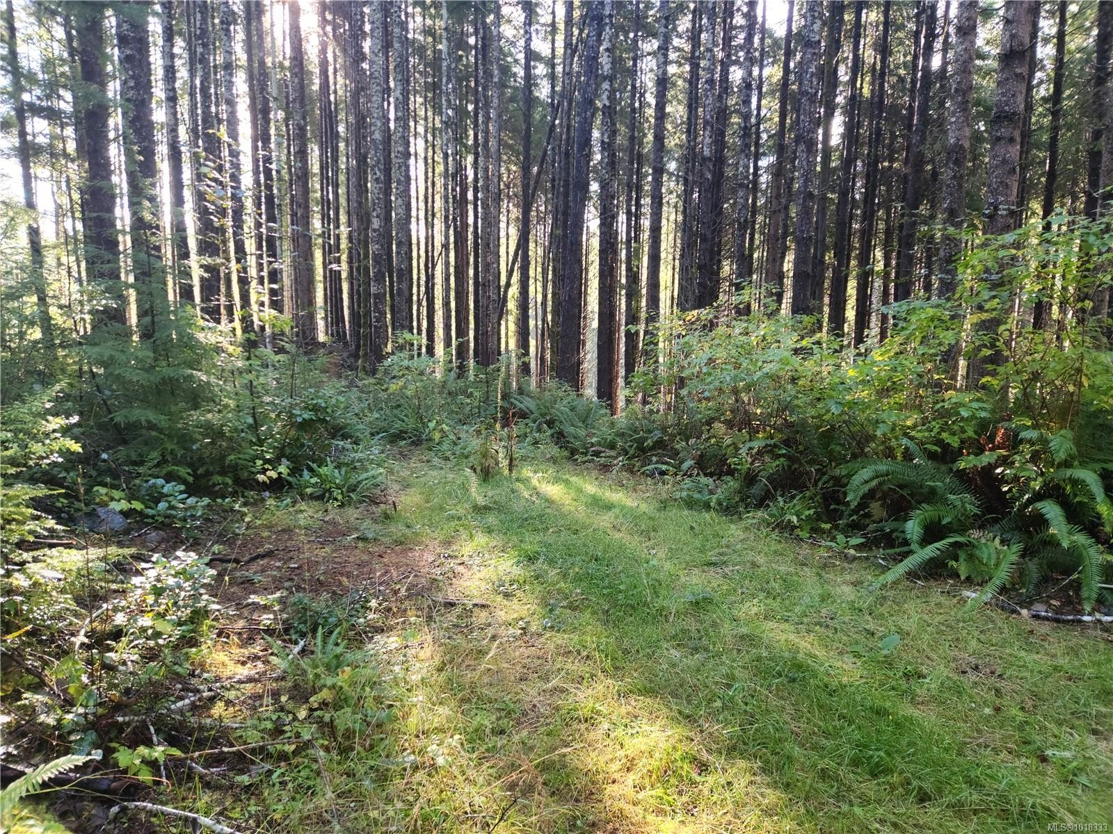 50 Murrelet Close, Sooke, BC