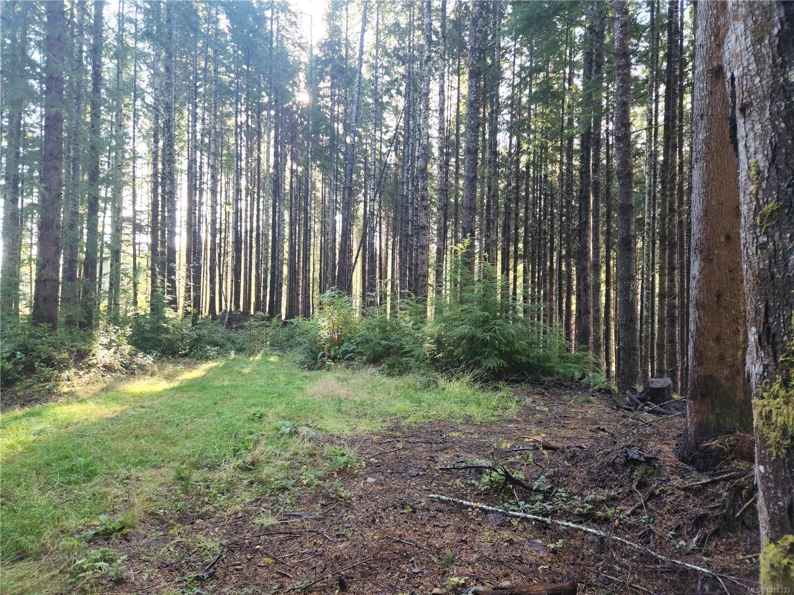 50 Murrelet Close, Sooke, BC