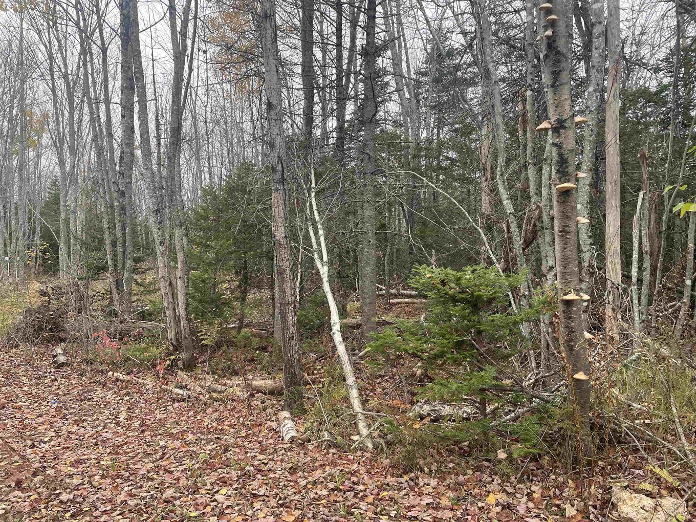 Allen Road, South West Lot 16, PE