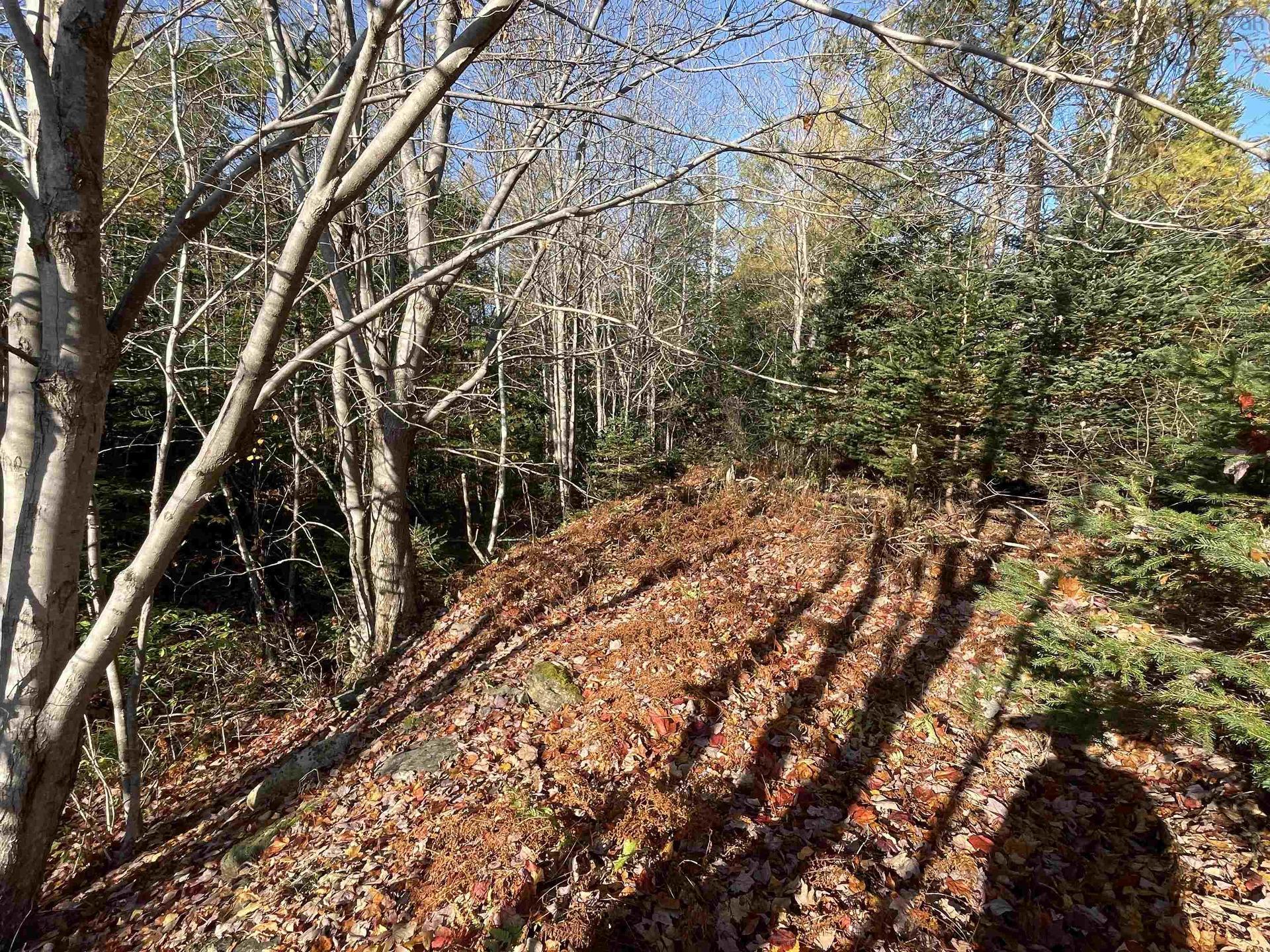 Mosher Road, Conrod Settlement, NS
