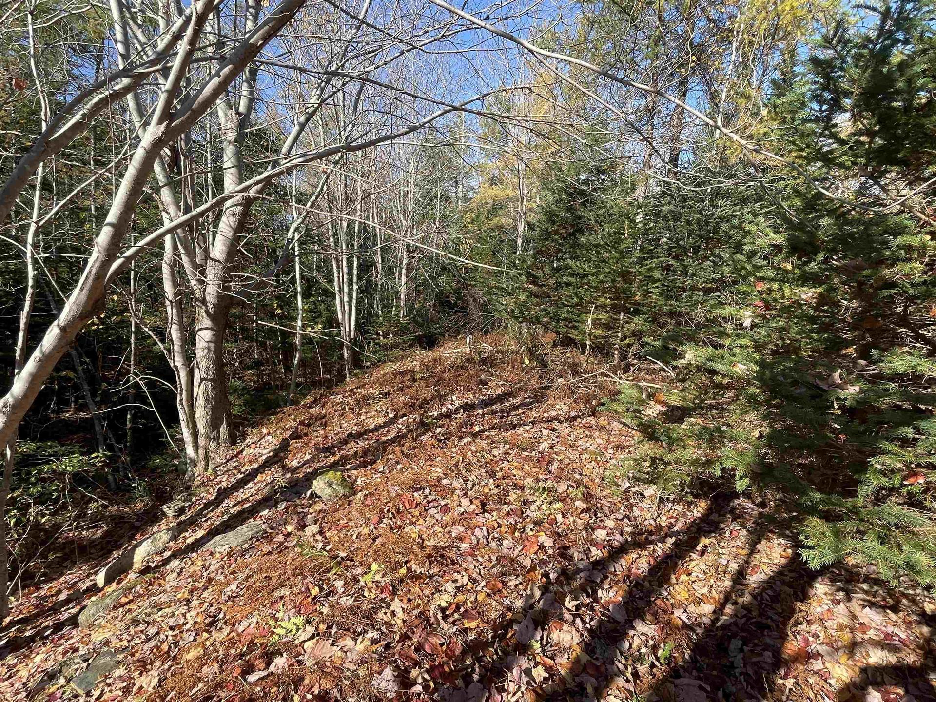 Mosher Road, Conrod Settlement, NS