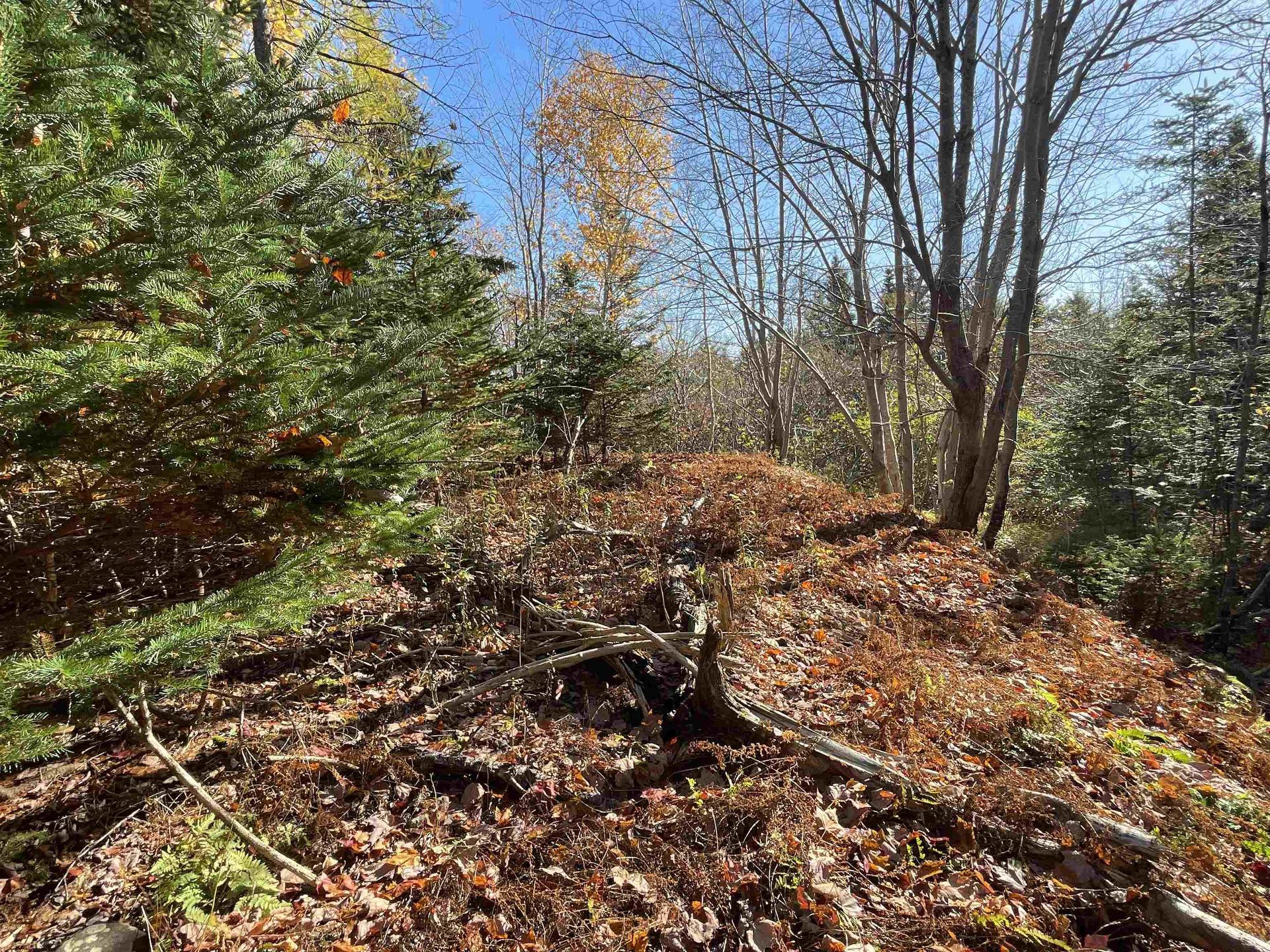 Mosher Road, Conrod Settlement, NS
