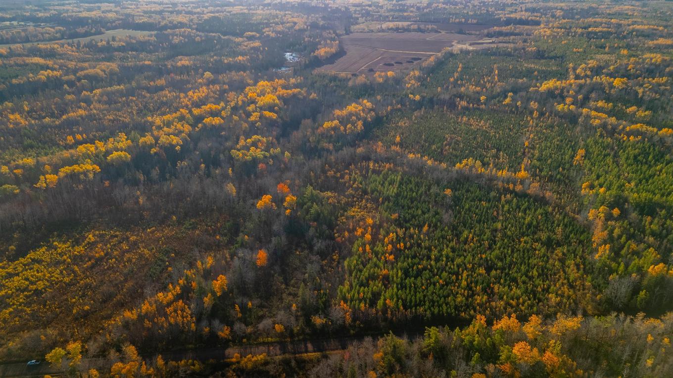 Acreage Doyle Road, Glengarry, PE