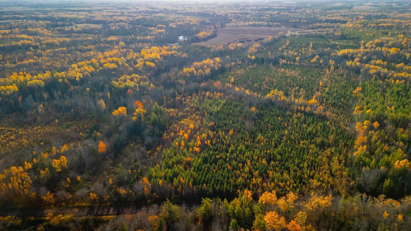 Acreage Doyle Road, Glengarry, PE