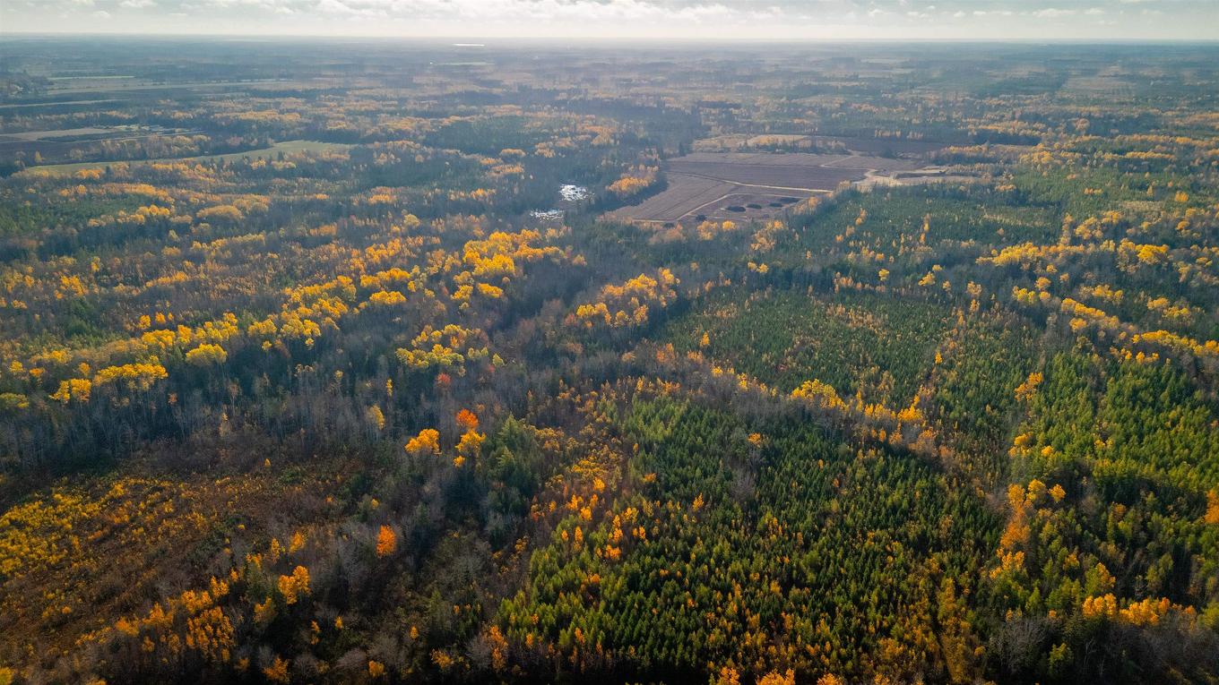 Acreage Doyle Road, Glengarry, PE