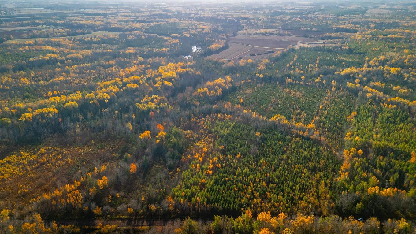 Acreage Doyle Road, Glengarry, PE