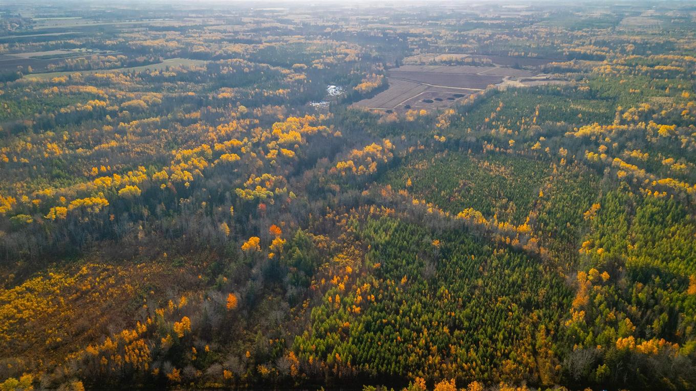 Acreage Doyle Road, Glengarry, PE